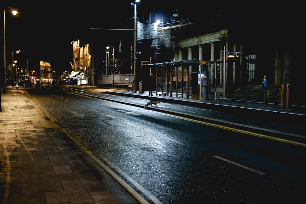 夜間の灰色の道路写真