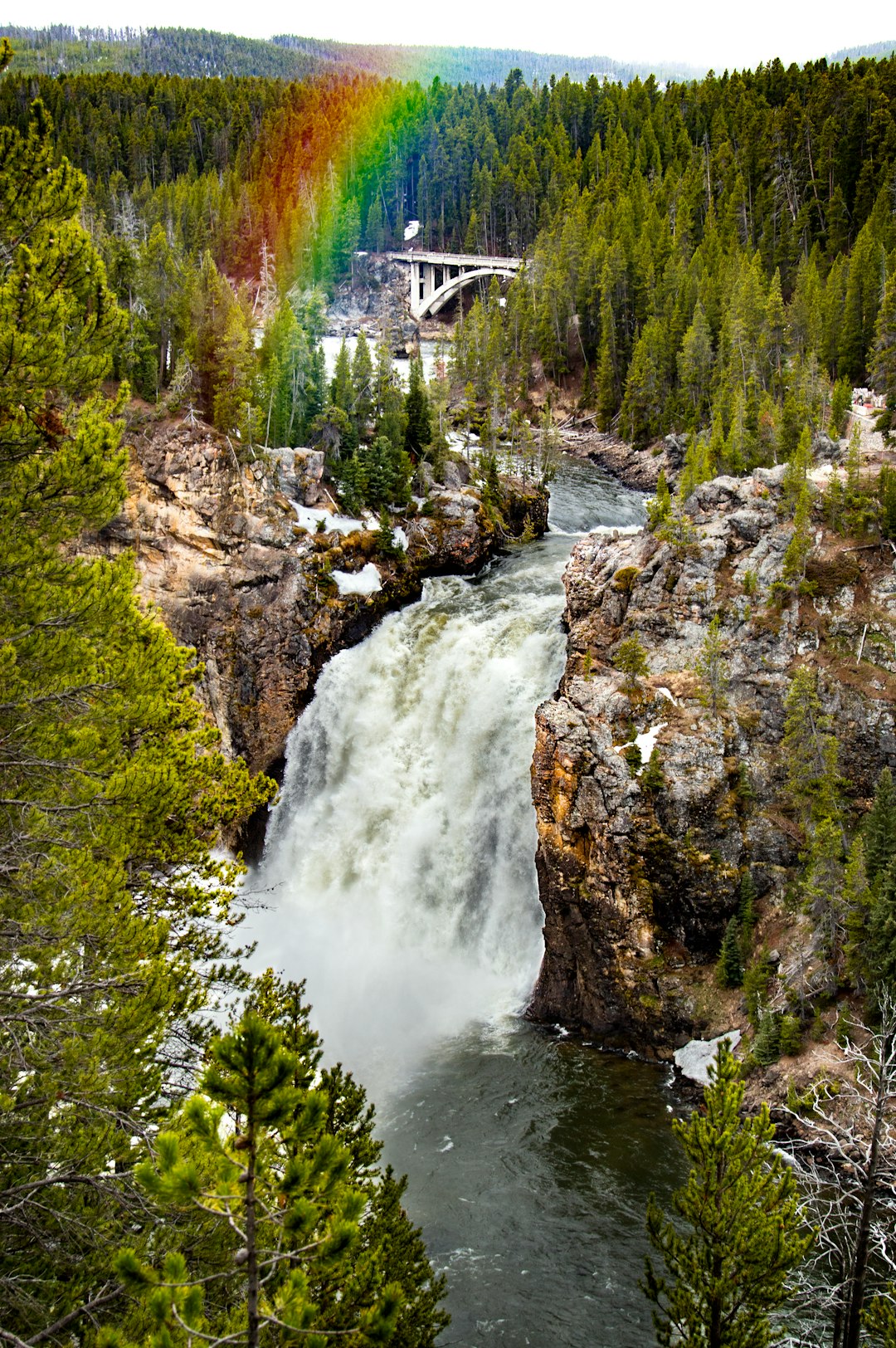 aerial photography of flowing river surrounded with tall and green trees showing rainbow during daytime