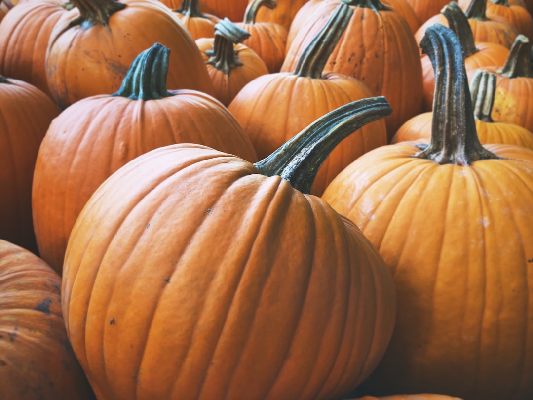 brown pumpkins