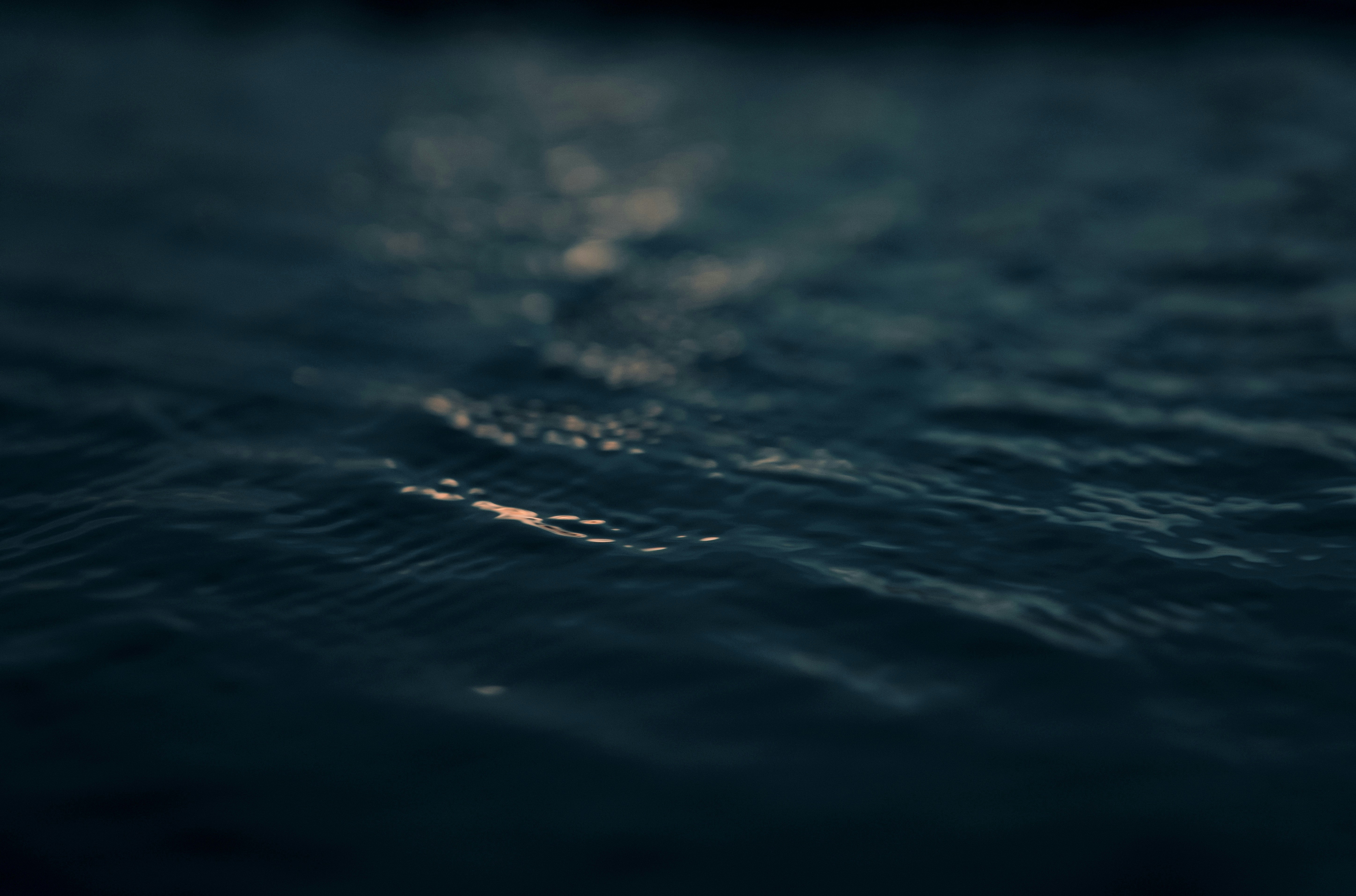 Photo by photogangsta1