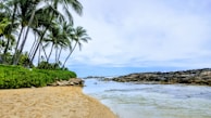 A tranquil beach scene at Gokarna with palm trees swaying against a clear blue sky.