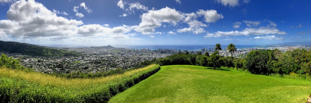 green grass under blue sky during daytime