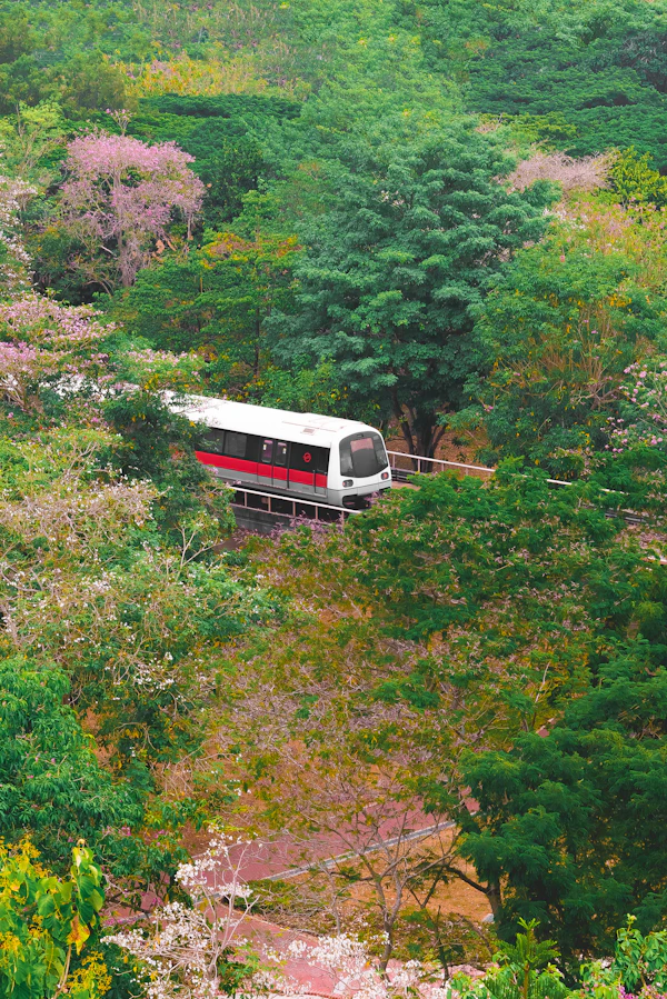 SMRT