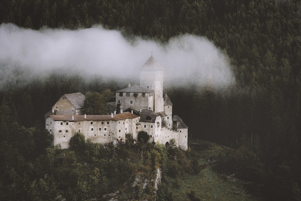 castle in forest