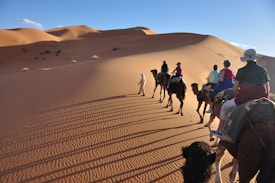 A caravan of people riding camels traverses through a vast desert landscape with rolling sand dunes illuminated by the warm light of a setting or rising sun. The shadows of the camels and riders stretch out across the rippled sand.