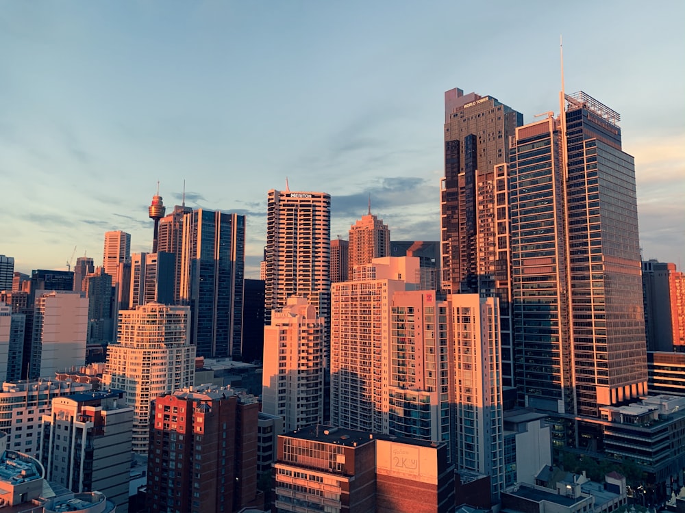 white and black concrete buildings under blue sky at daytime