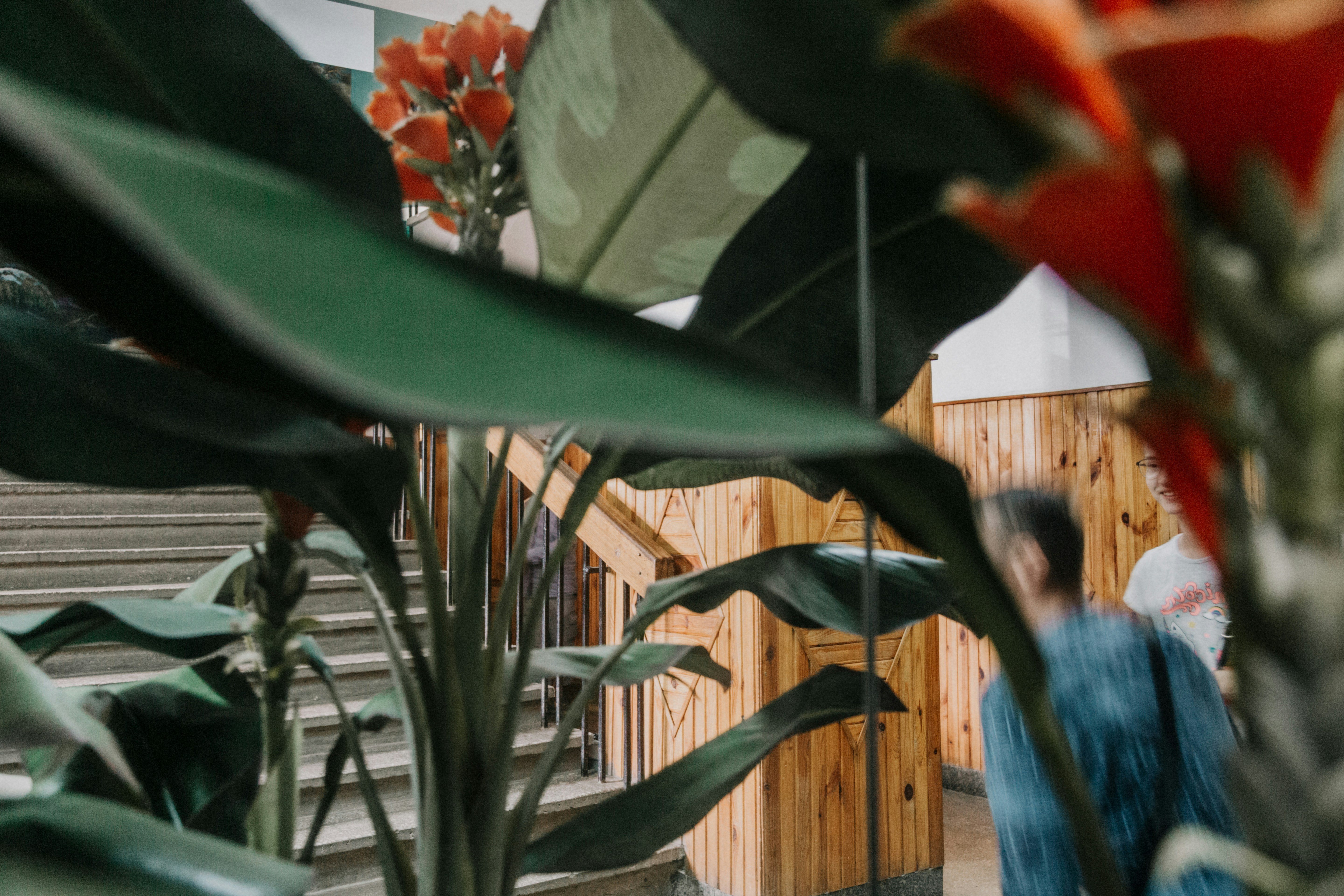 Photo by marjan_blan