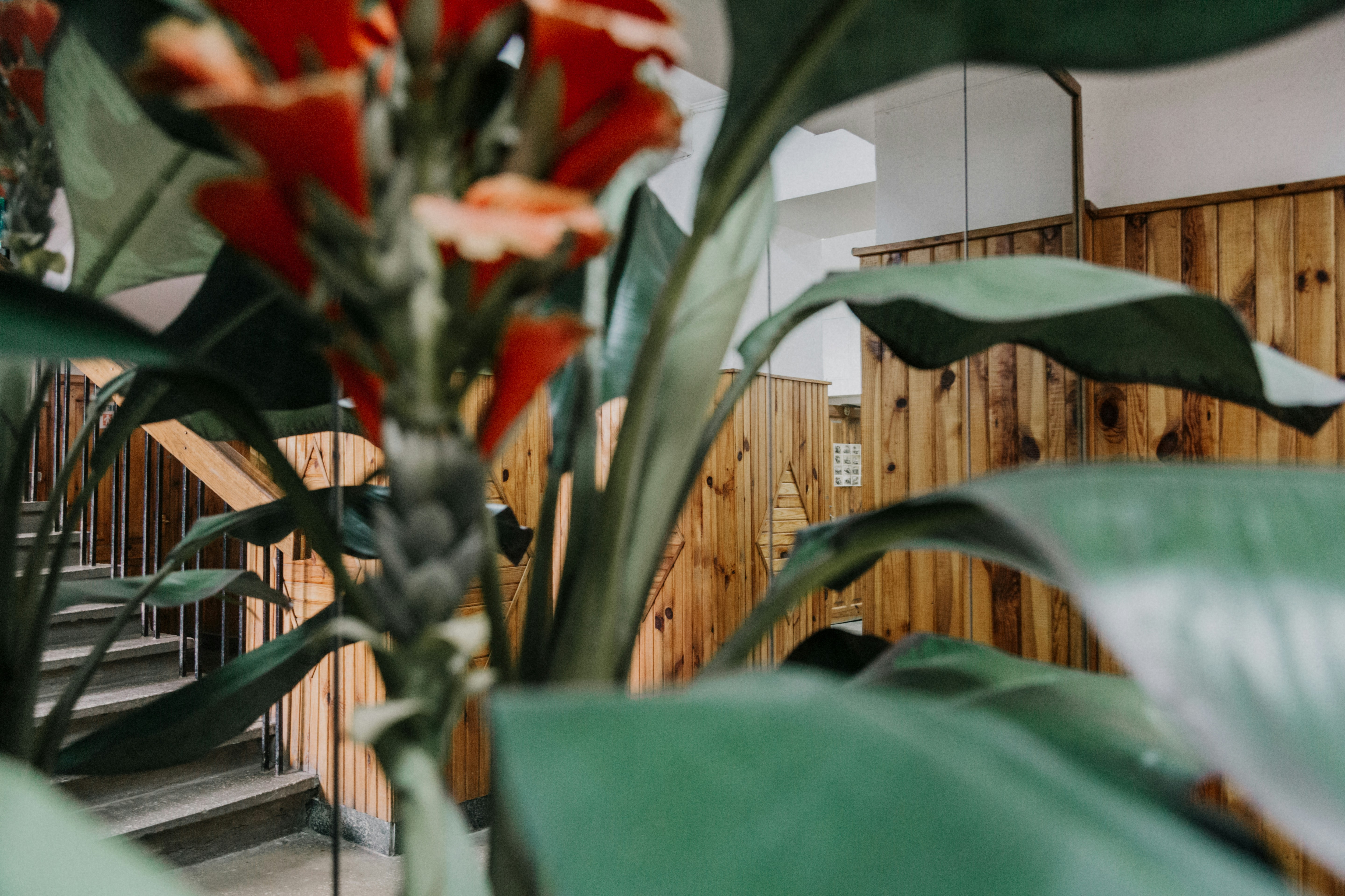 Photo by marjan_blan