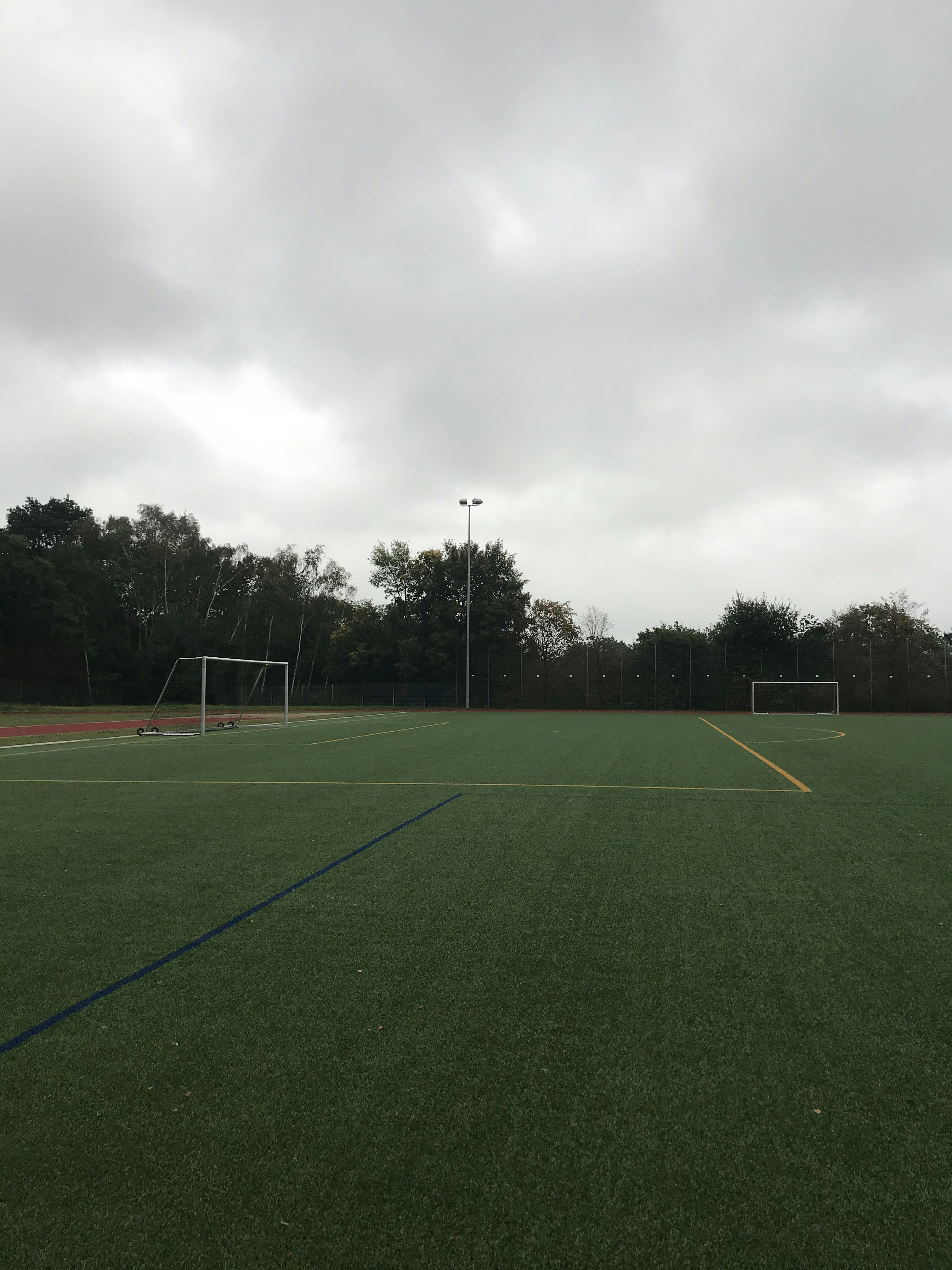 Premium Artificial Turf