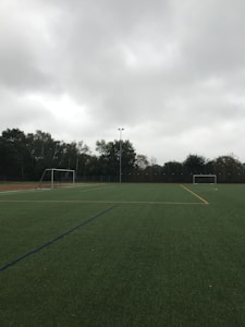 Pasto Artificial Premium