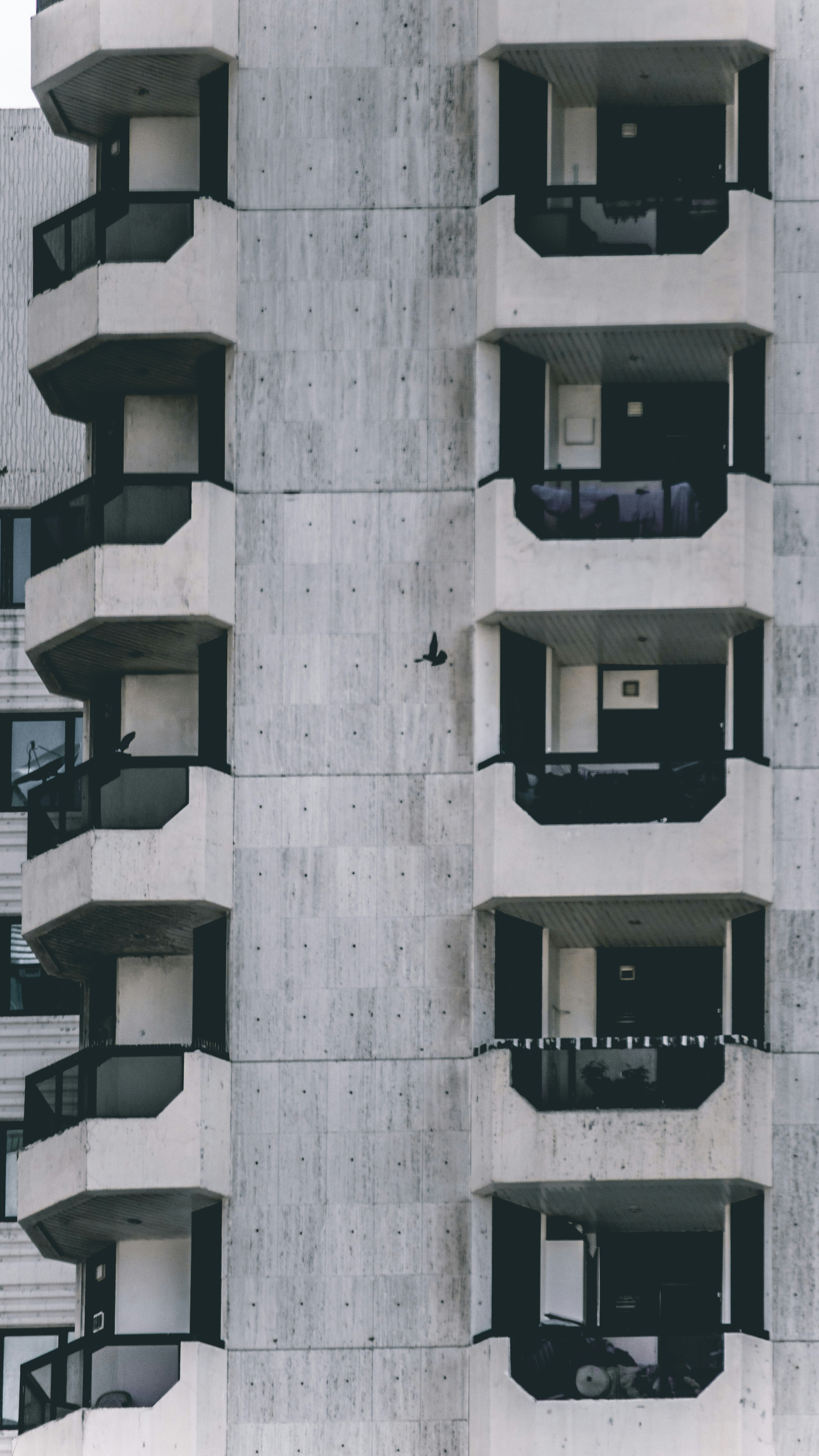 Photo by achal_patel