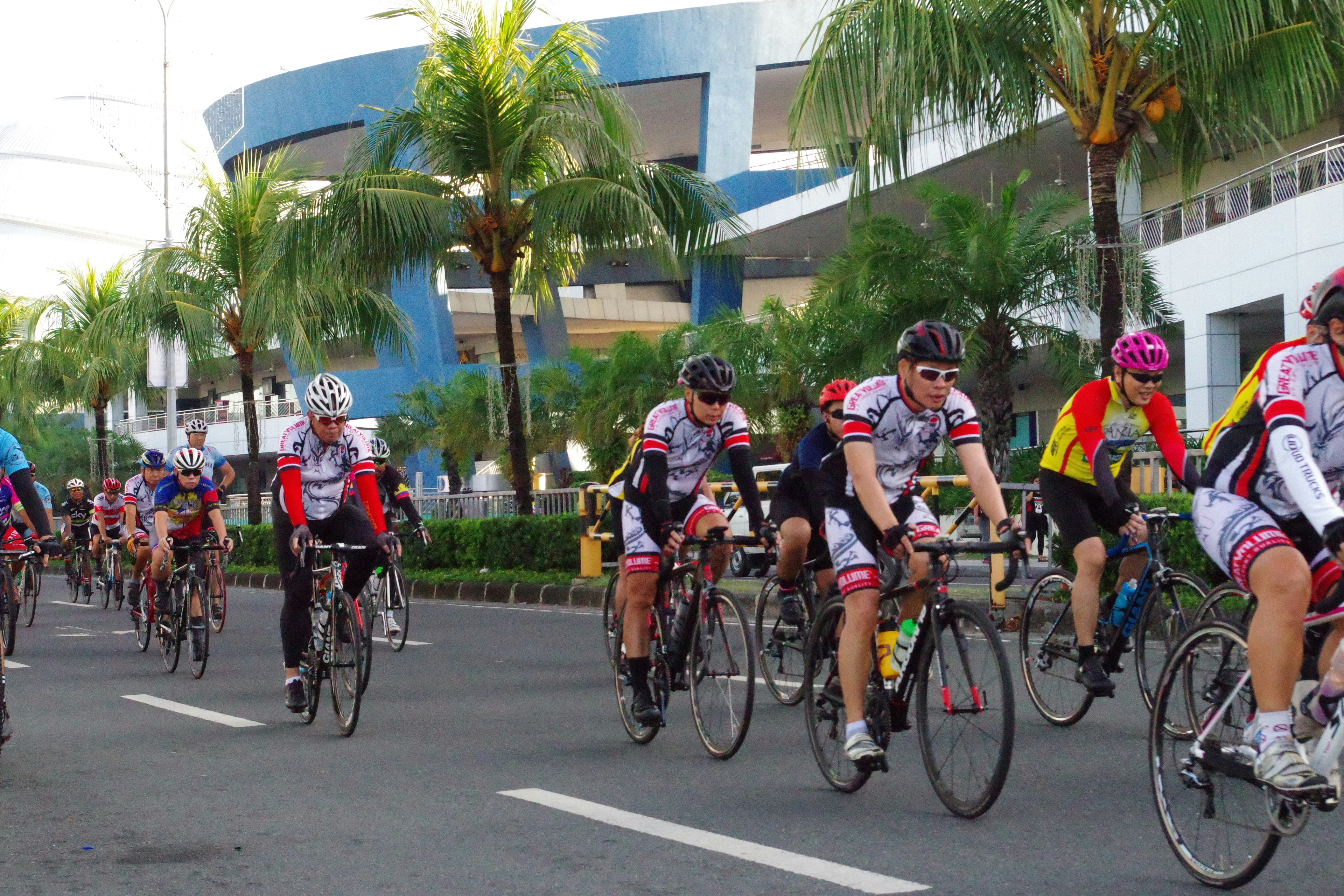 Cyclists riding through palm trees