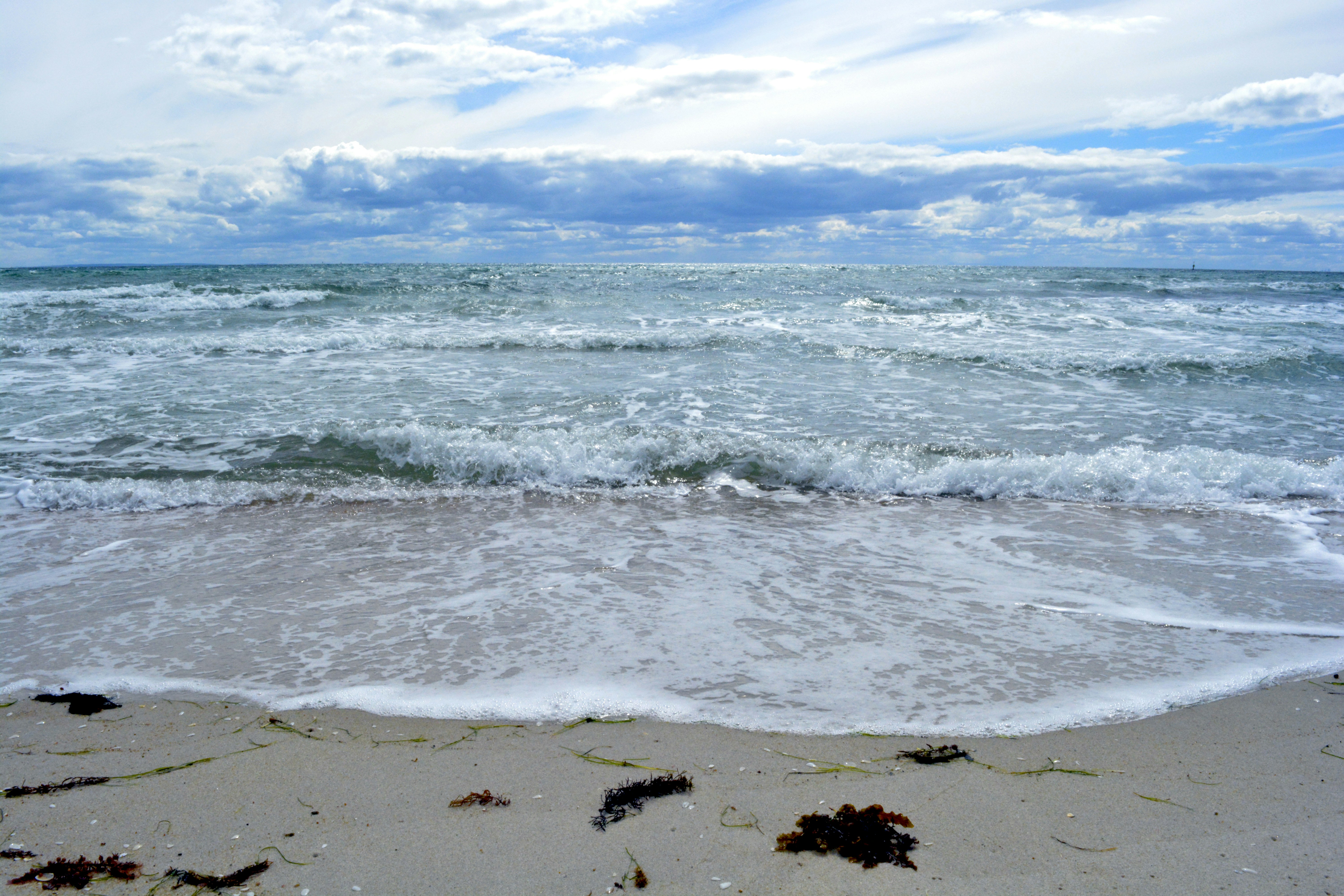 Photo by steffipereira