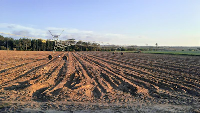 farmland across trees photo