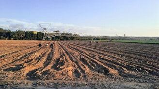 farmland across trees photo