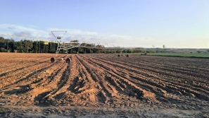 farmland across trees photo