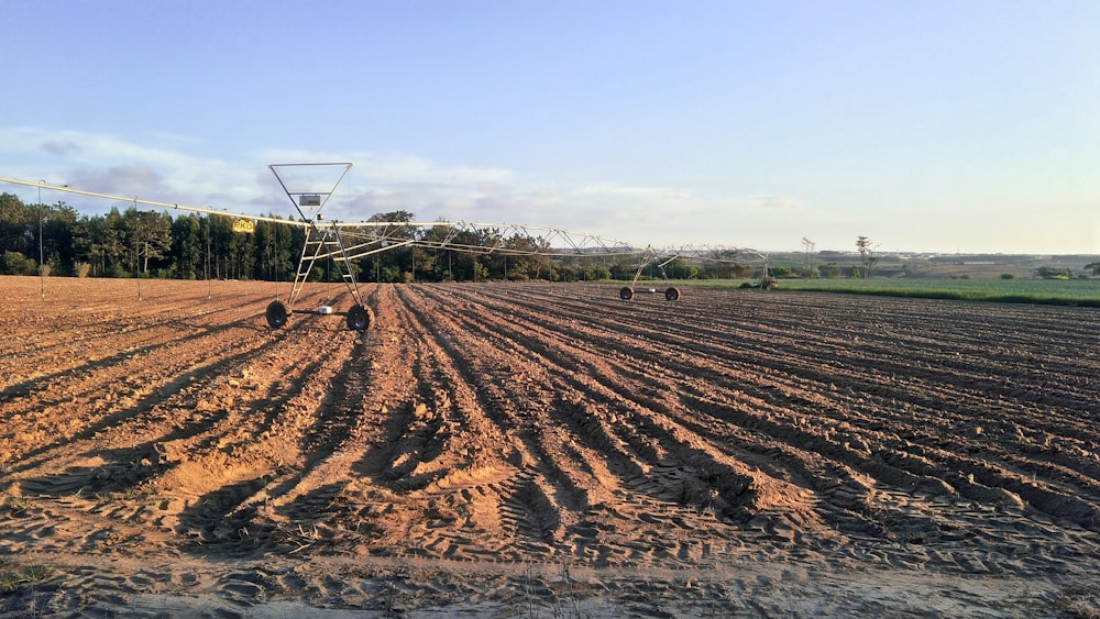 farmland across trees photo