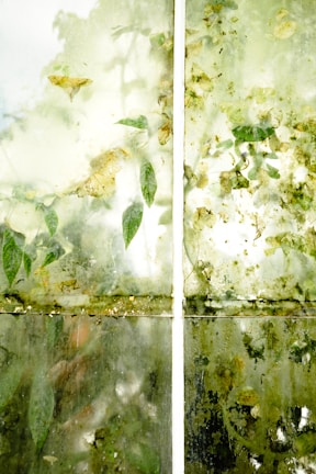 A close-up of a window being cleaned with a squeegee.