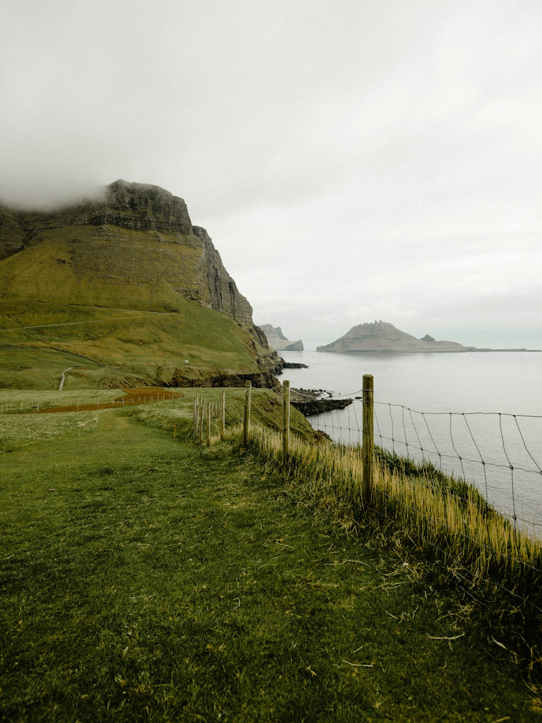 green grass mountain scenery