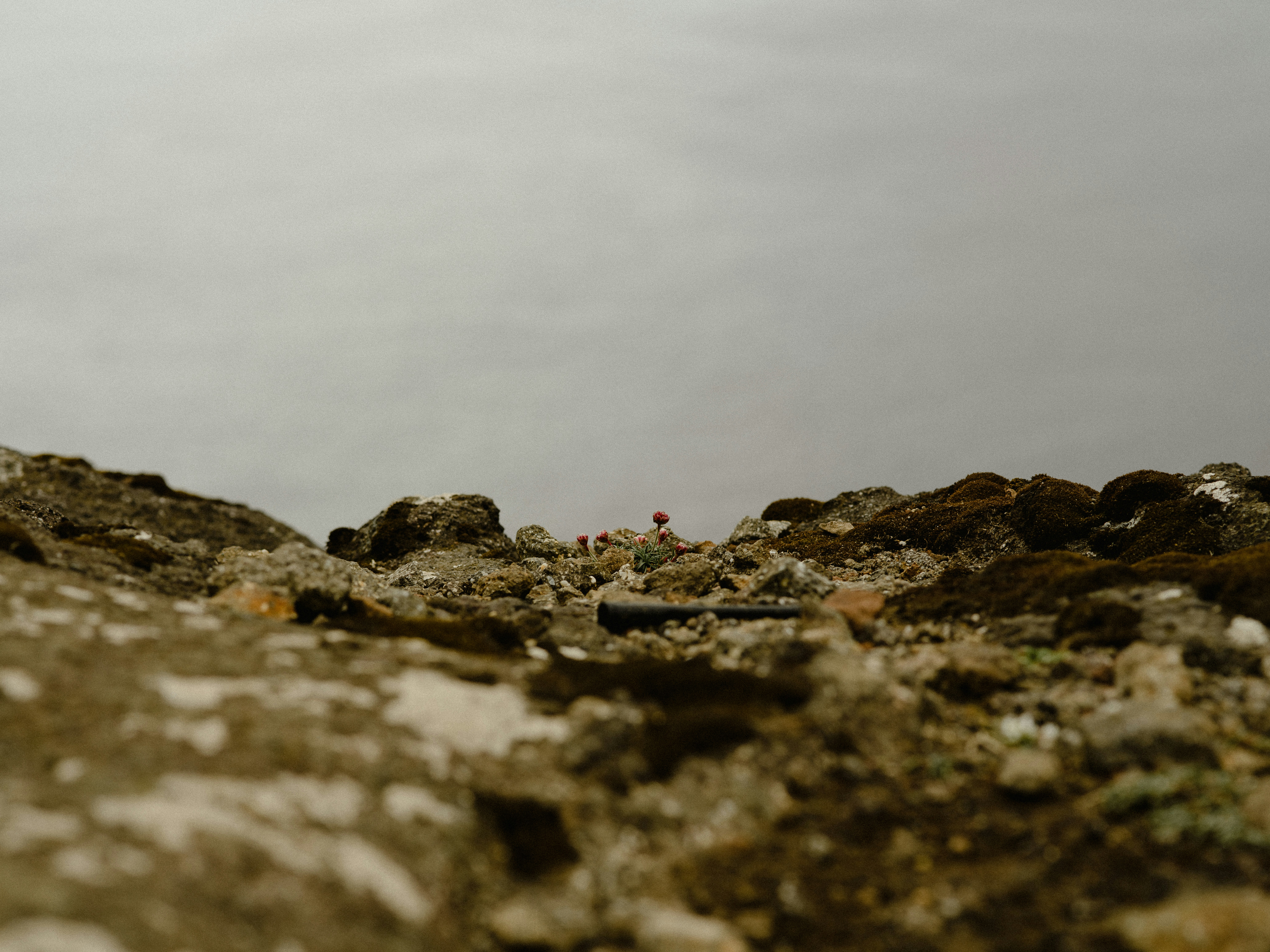 Photo by anniespratt