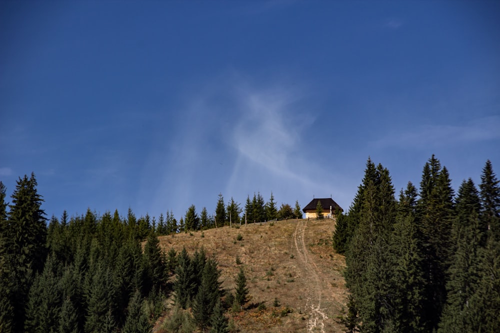 house on hill near trees under clear sky