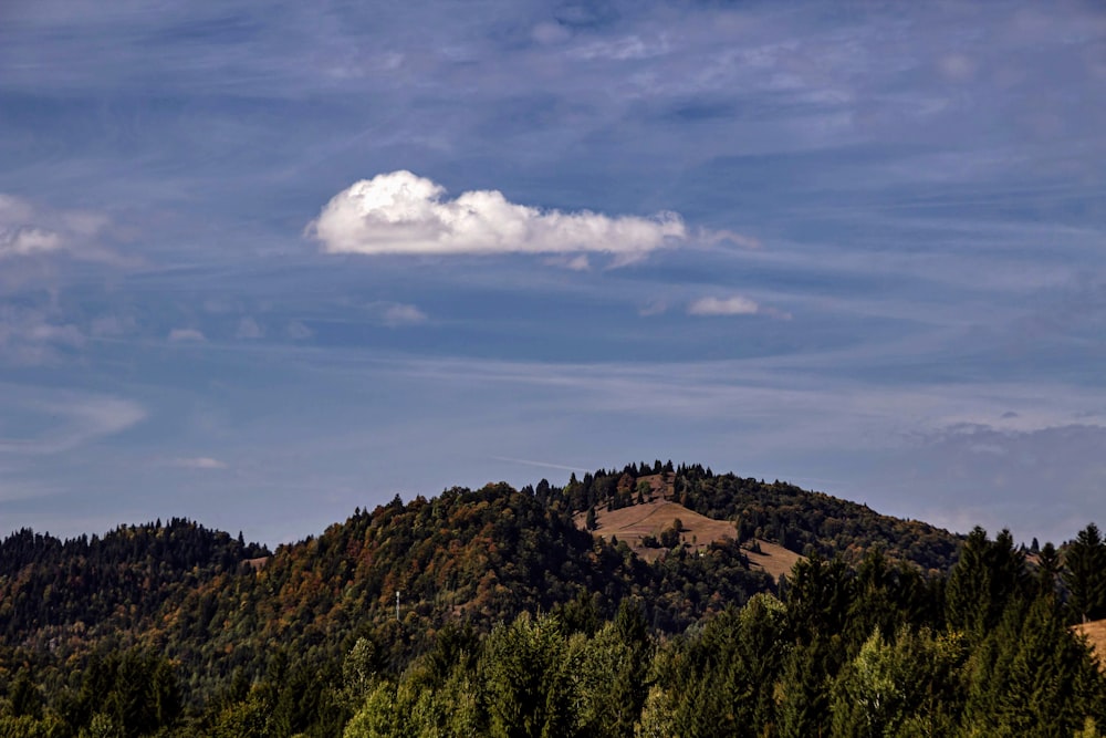 photo of mountain scenery