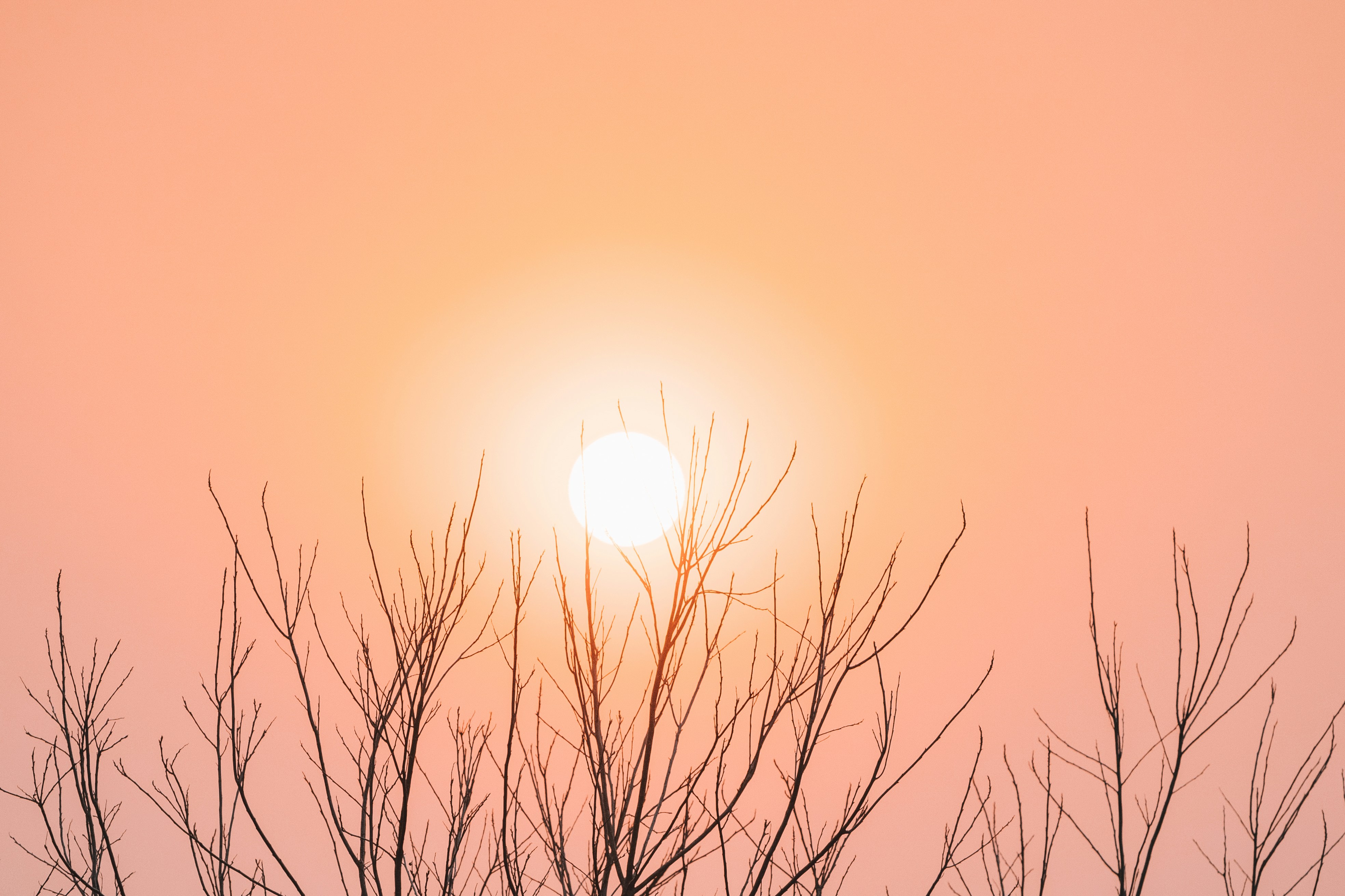 Photo by angus_buchanan