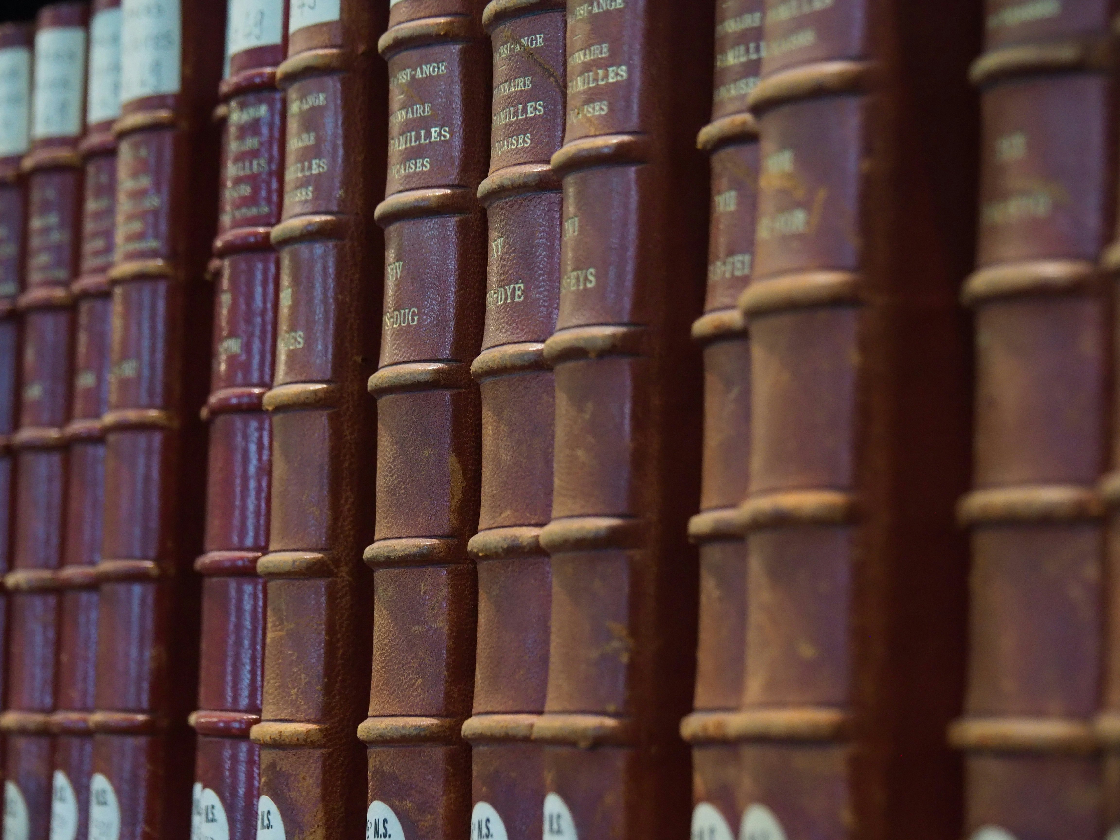A forgotten library inside a giant, ancient tree.