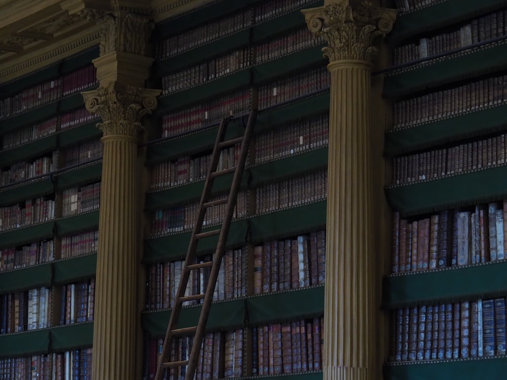grey ladder on library