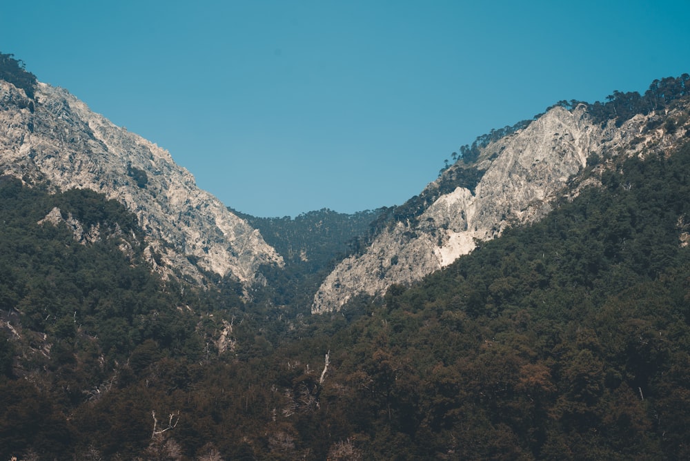 Fotografía de paisaje de montaña verde y gris