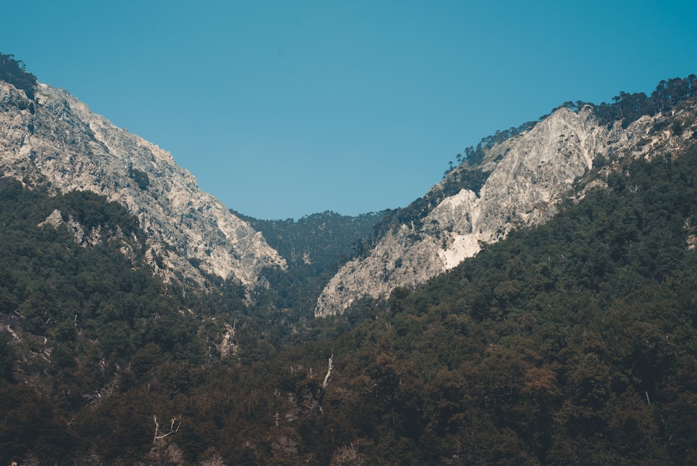 landscape photography of green and gray mountaina