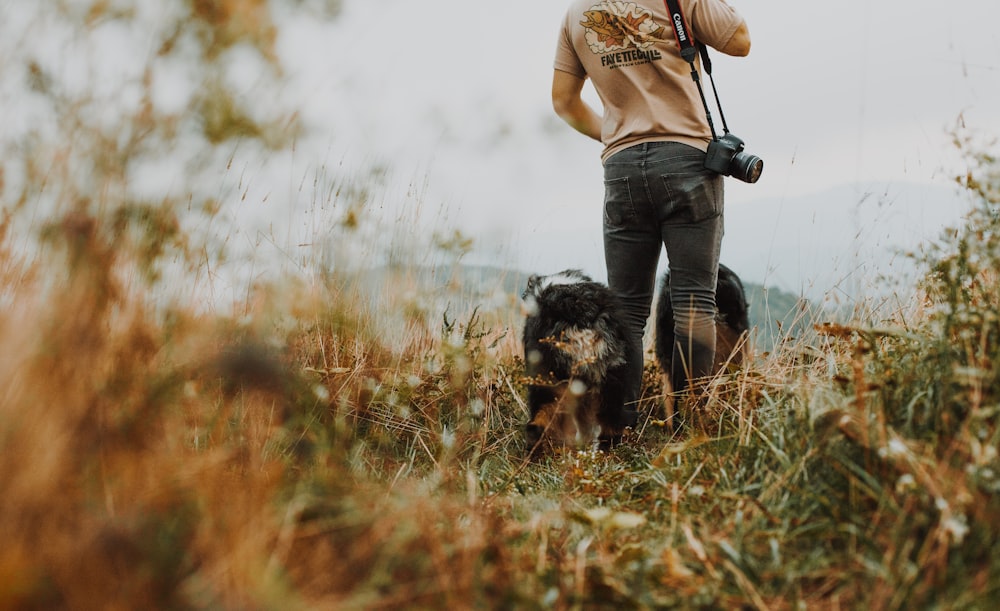 Long Haired White And Black Dog Photo Free Dog Image On Unsplash
