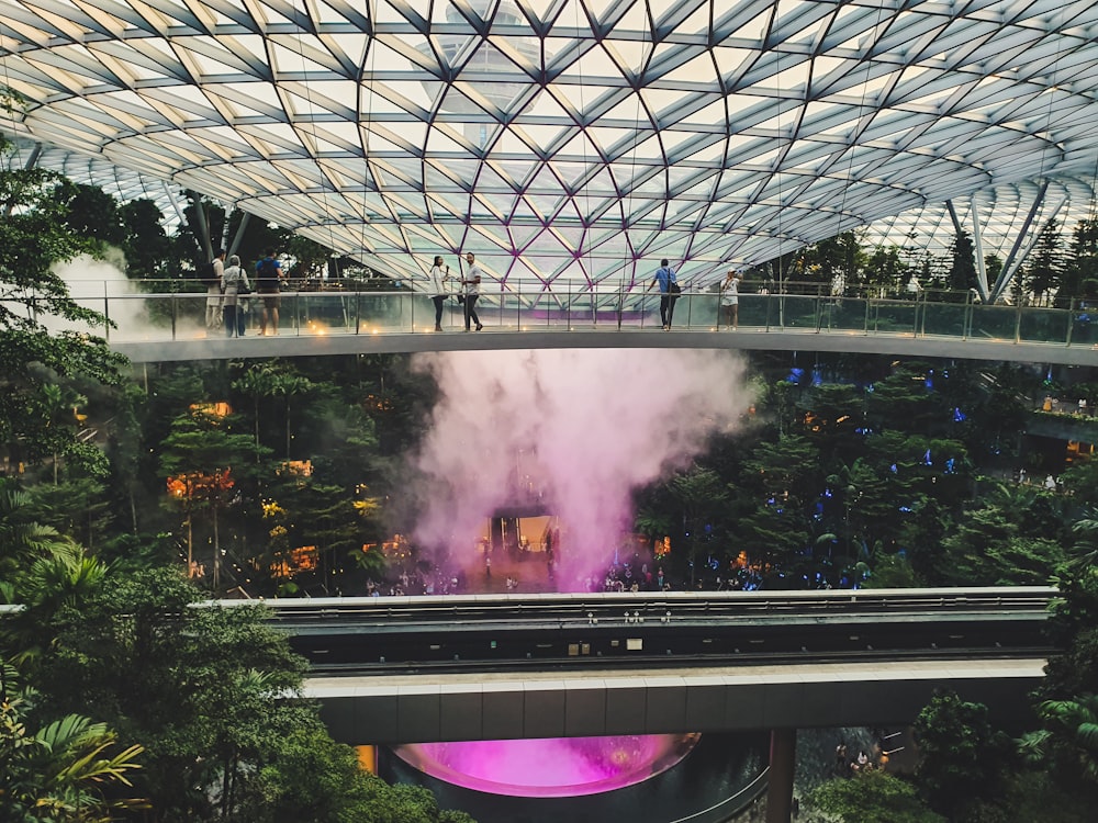people inside Gardens by the Bay, Singapore