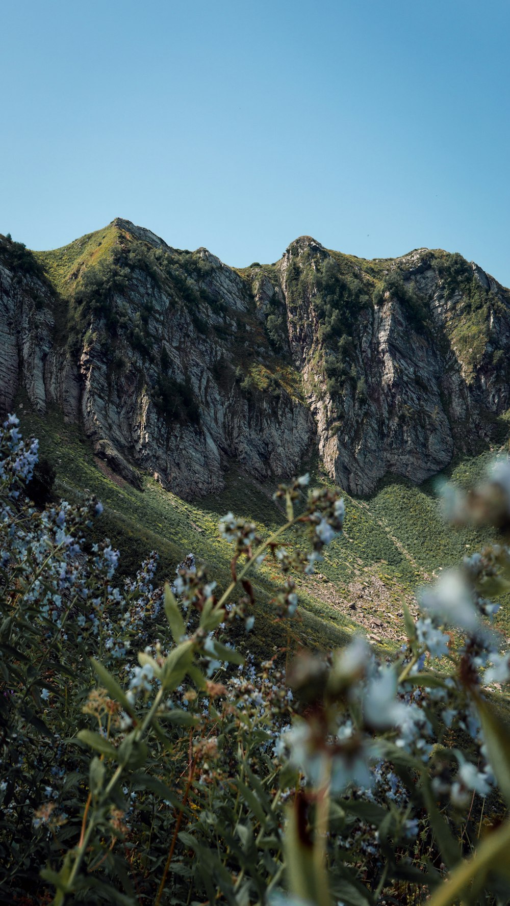 green mountains during daytinme