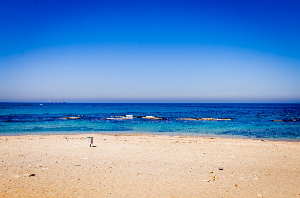 empty shore during daytime