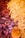 An assortment of dried fruits and nuts carefully arranged together. Dark red dates on the left merge into a cluster of yellow grains or seeds, transitioning to pieces of cracked walnuts. At the bottom, there is a bundle of cinnamon sticks tied together.