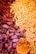 An assortment of dried fruits and nuts carefully arranged together. Dark red dates on the left merge into a cluster of yellow grains or seeds, transitioning to pieces of cracked walnuts. At the bottom, there is a bundle of cinnamon sticks tied together.