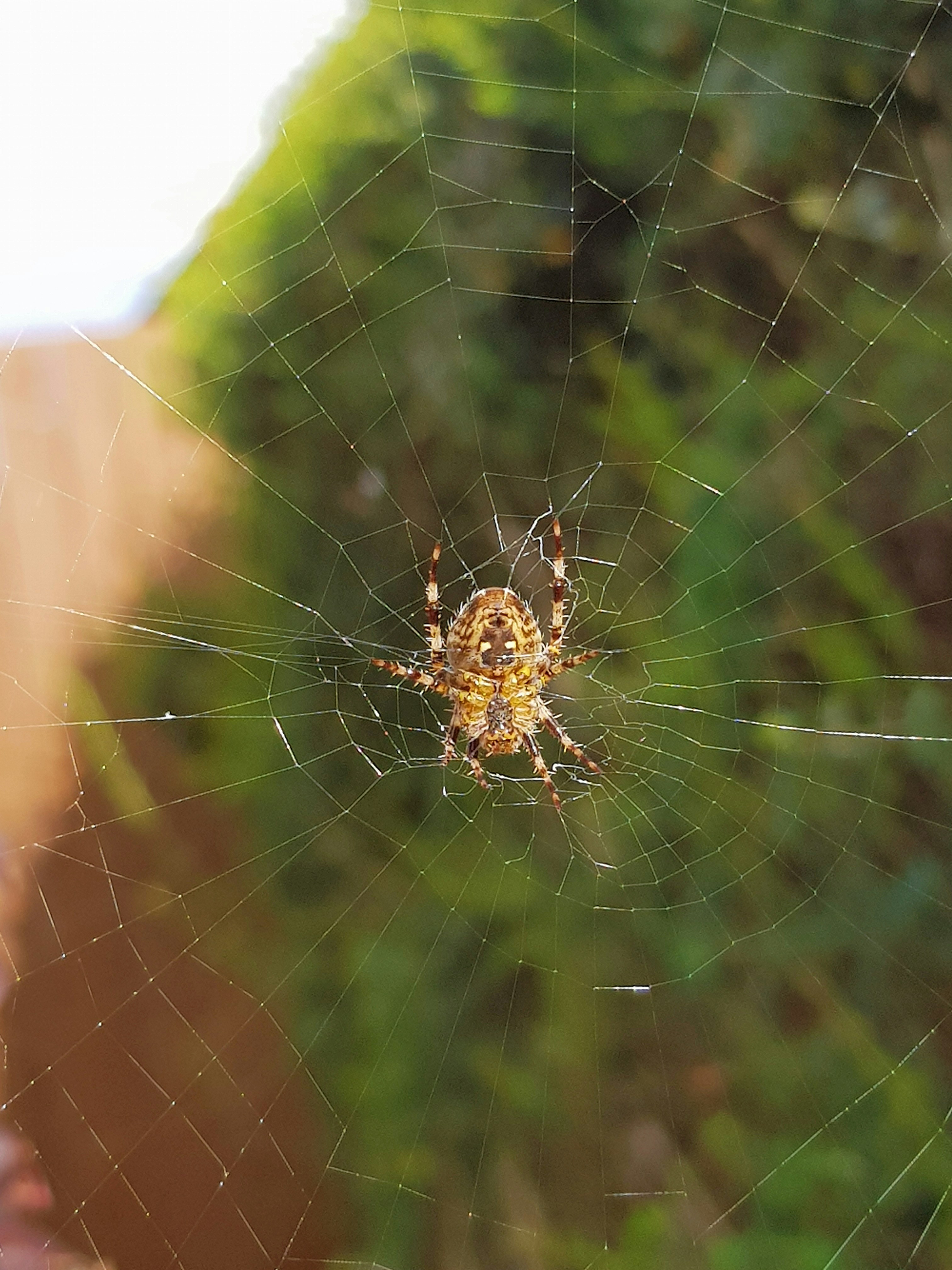 Photo by iamthomasurquhart