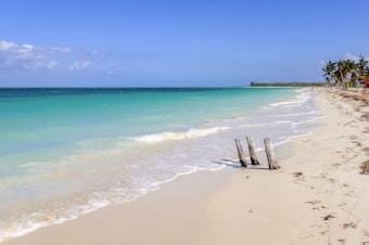A serene sandy beach with turquoise water gently lapping against the shore. The sky is clear and blue, with a few white clouds scattered across the horizon. Several palm trees are visible in the distance, lining the edge of the beach. Three weathered wooden posts are partially submerged near the water's edge.
