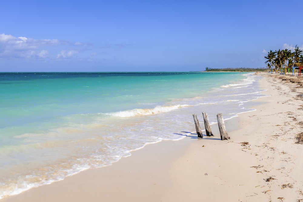 wavy seashore during daytime