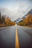 mountains near brown trees under cloudy sky