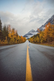 mountains near brown trees under cloudy sky
