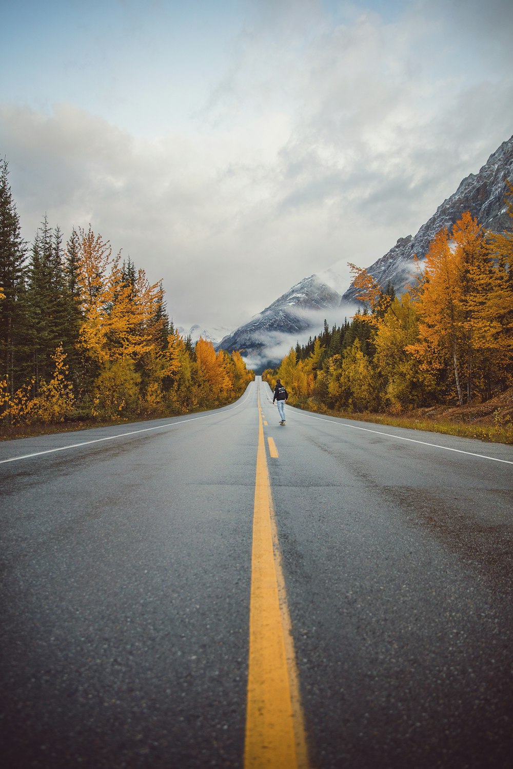 mountains near brown trees under cloudy sky