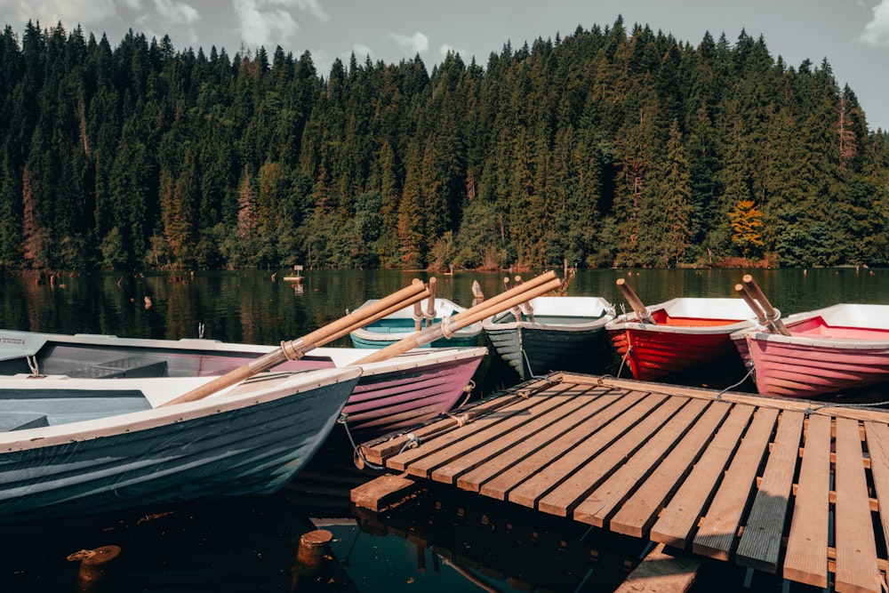 Bateaux à quai pendant la journée