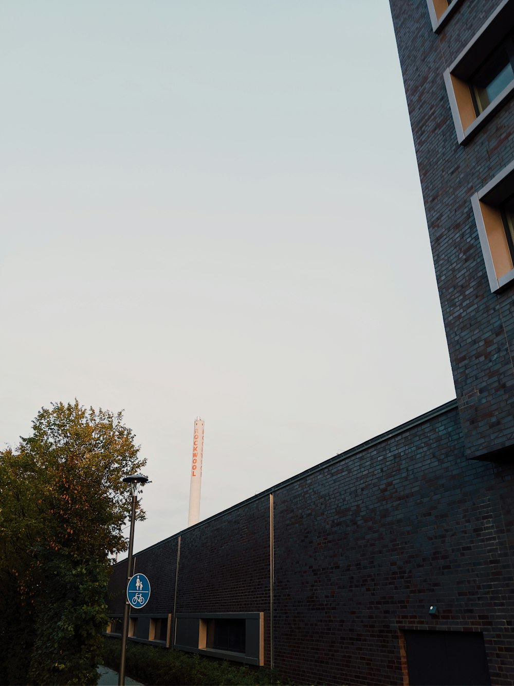 green tree beside black building