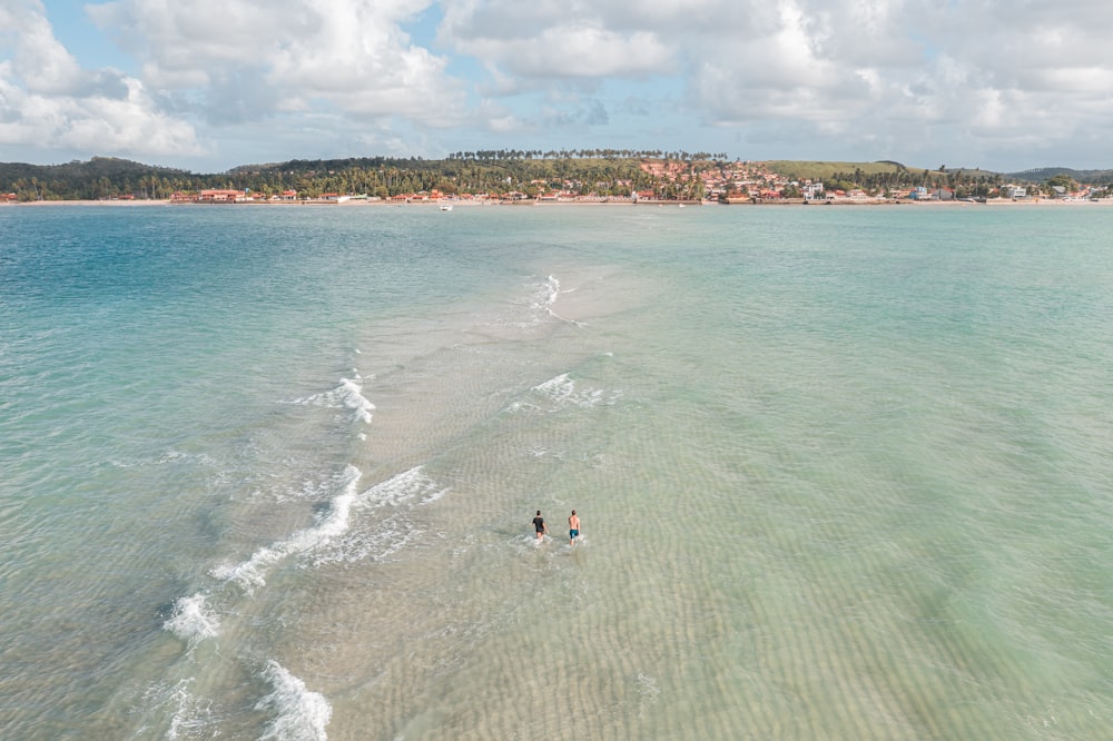 aerial-photography of two people swimming on sea