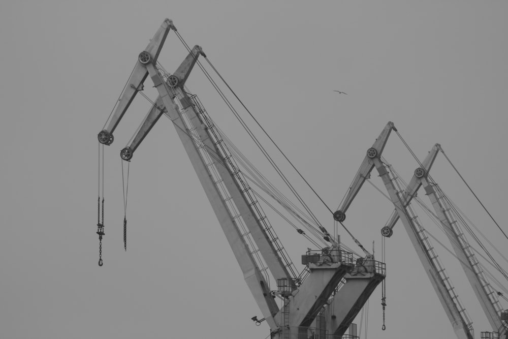 gray scale photo of crane