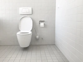 A smart toilet in a cozy bathroom setting showing the automatic lid opening feature.