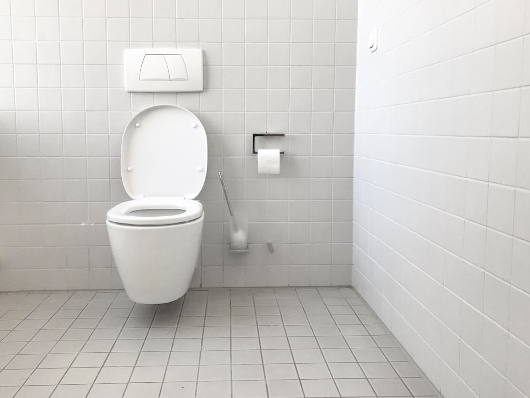 Plumber repairing toilet - clogged toilet repair