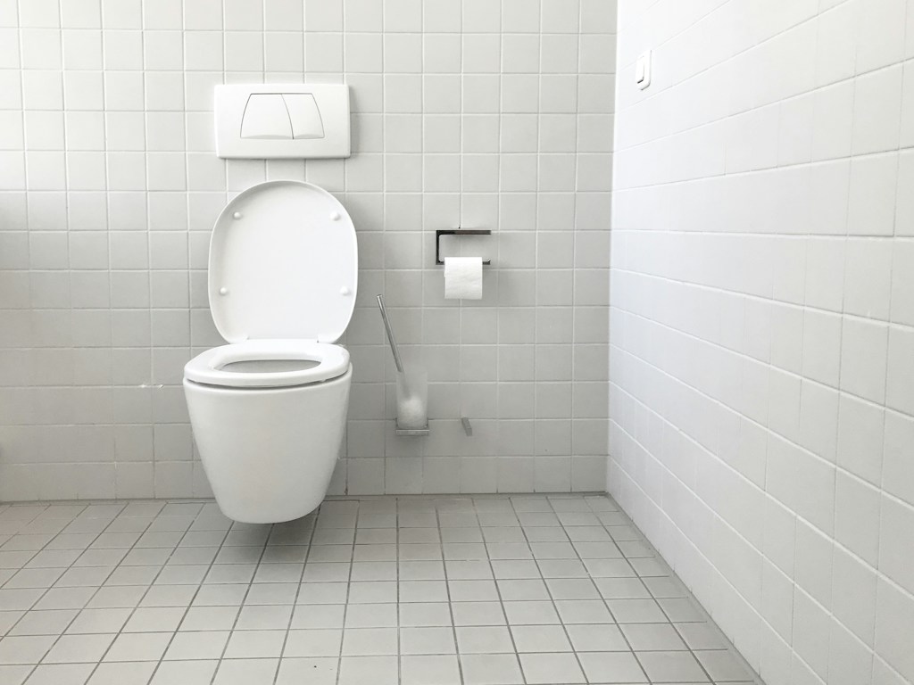 Smart Toilet Model X